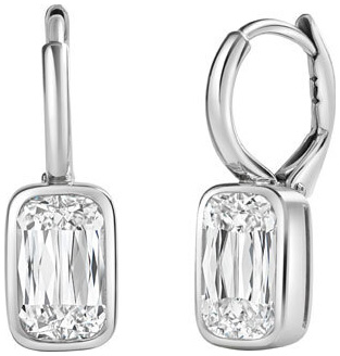 Ashoka datia bezel earrings e3576