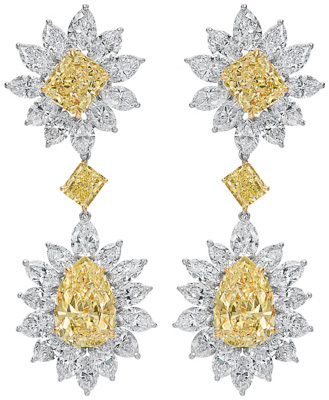 Fancy Shape Chandelier Earrings E3421