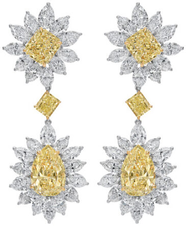 Fancy Shape Chandelier Earrings E3421
