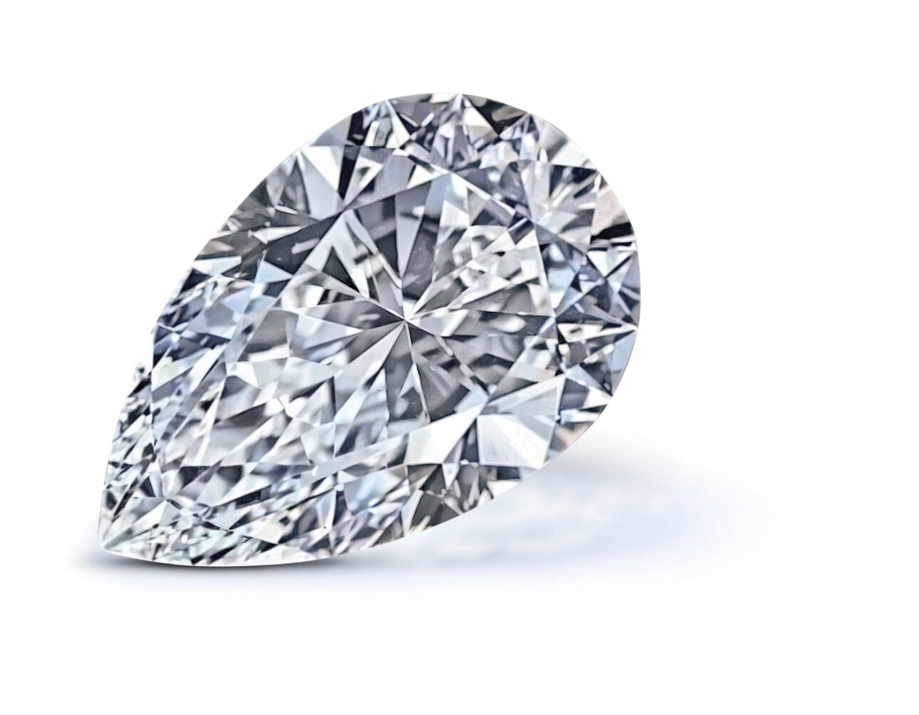 Premier Rose 3 merged c